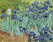 Vincent Van Gogh Irises Sweden oil painting artist